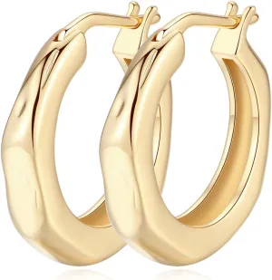 14K Gold Hoop Earrings for Women, Small Gold Hoop Earrings Well-polished Chunky Hoops Earring Dainty Hypoallergenic Earring