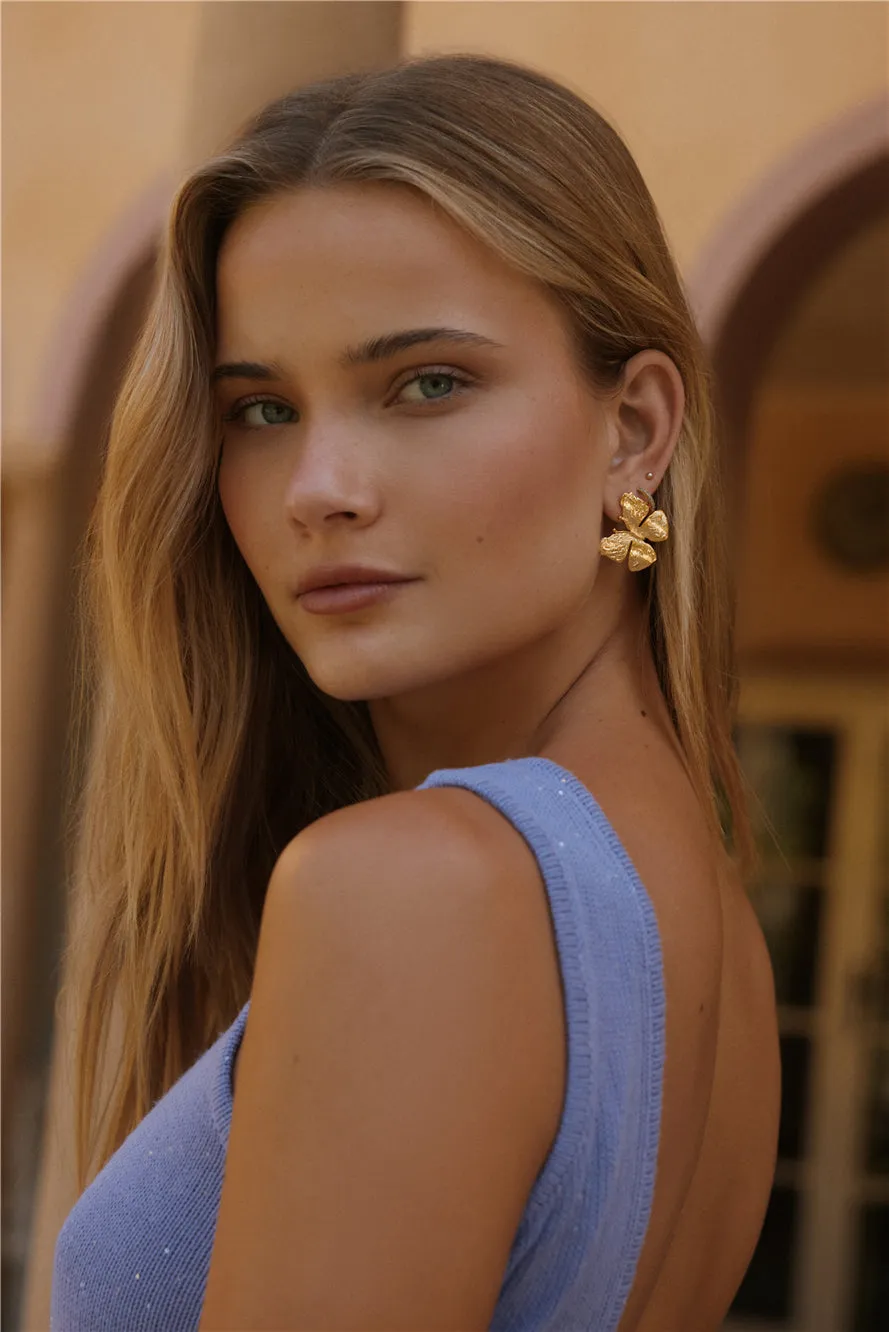 18k Gold Plated Spread Your Wings Earrings Gold
