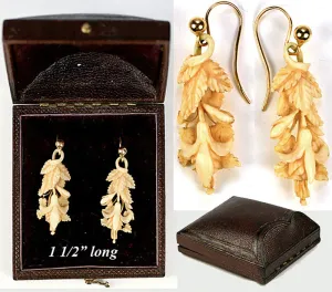 Antique Victorian Era Hand Carved Ivory Earrings Pair in Camelback Box, 10k Gold