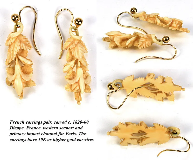 Antique Victorian Era Hand Carved Ivory Earrings Pair in Camelback Box, 10k Gold