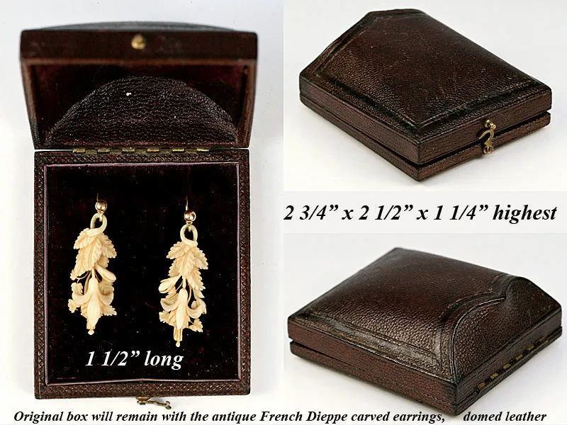 Antique Victorian Era Hand Carved Ivory Earrings Pair in Camelback Box, 10k Gold