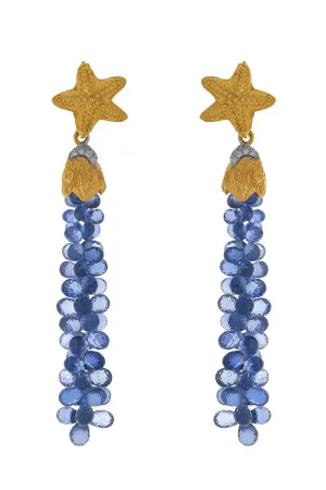 Blue Sapphire Briolette Drop Earrings