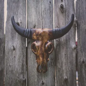 Buffalo Mask- Plain Brown M
