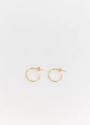 Crystal Hoop Earrings