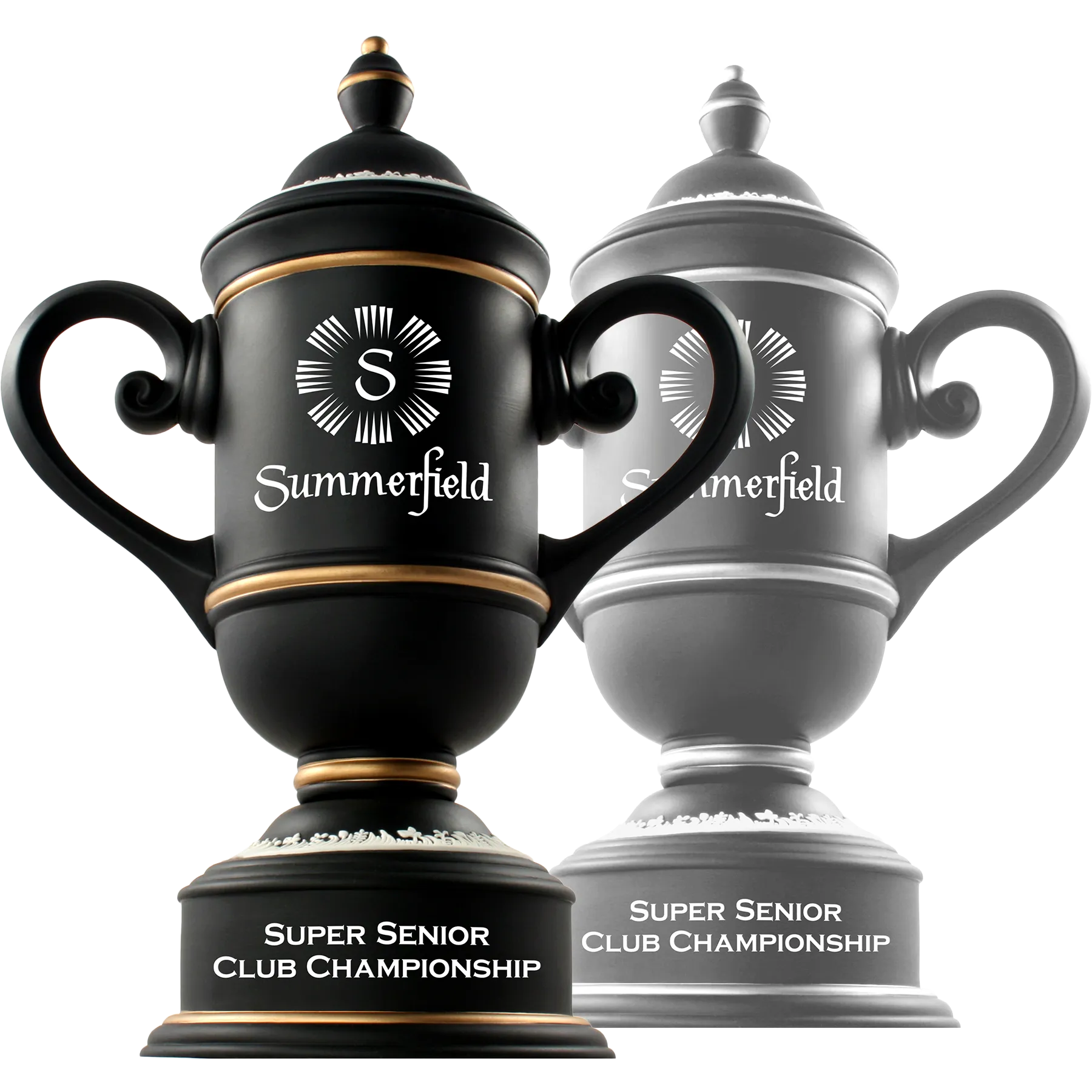Custom Cup Series