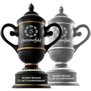 Custom Cup Series