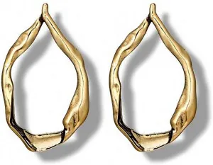 Exaggerated Gold Geometric Earring Punk Style Drop Earing Womens Drop Earrings Jewelry Gold