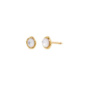 Gold Noemi Studs