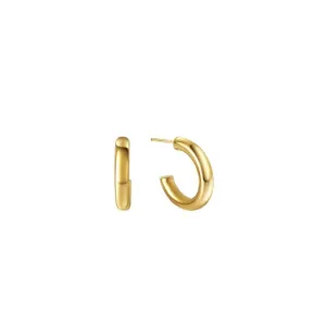 Hailey Classic Hoop Earrings