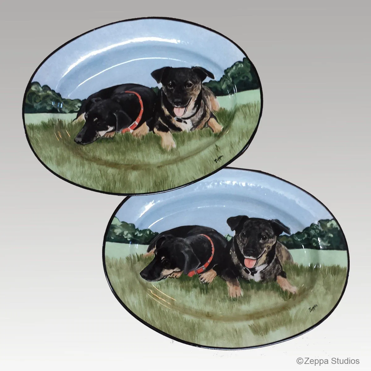Hand Painted Gallery Style Rim Platter