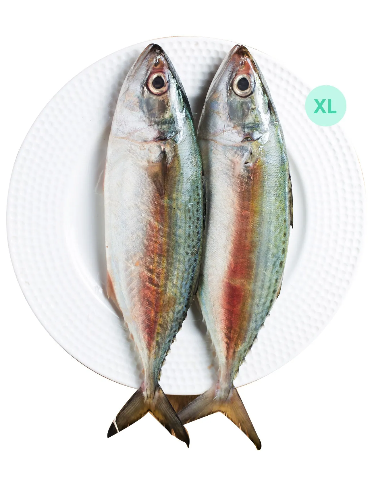 IKAN KEMBONG XL  /-1KG