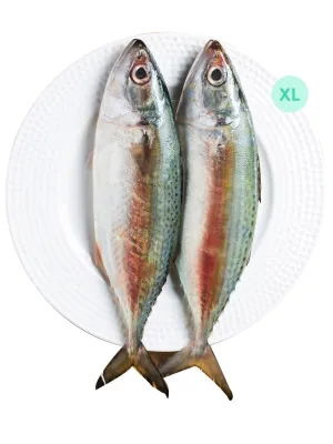 IKAN KEMBONG XL  /-1KG