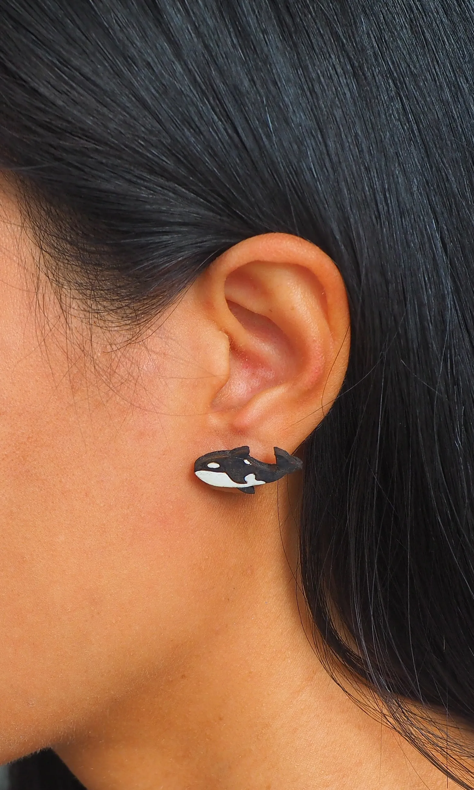 Orca whale Wooden Rimu Stud Earrings