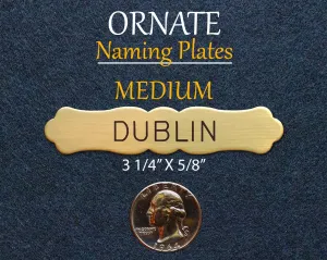 ORNATE MEDIUM Naming Plate Thick Fancy Solid Brass or Nickel Silver Custom Engraved