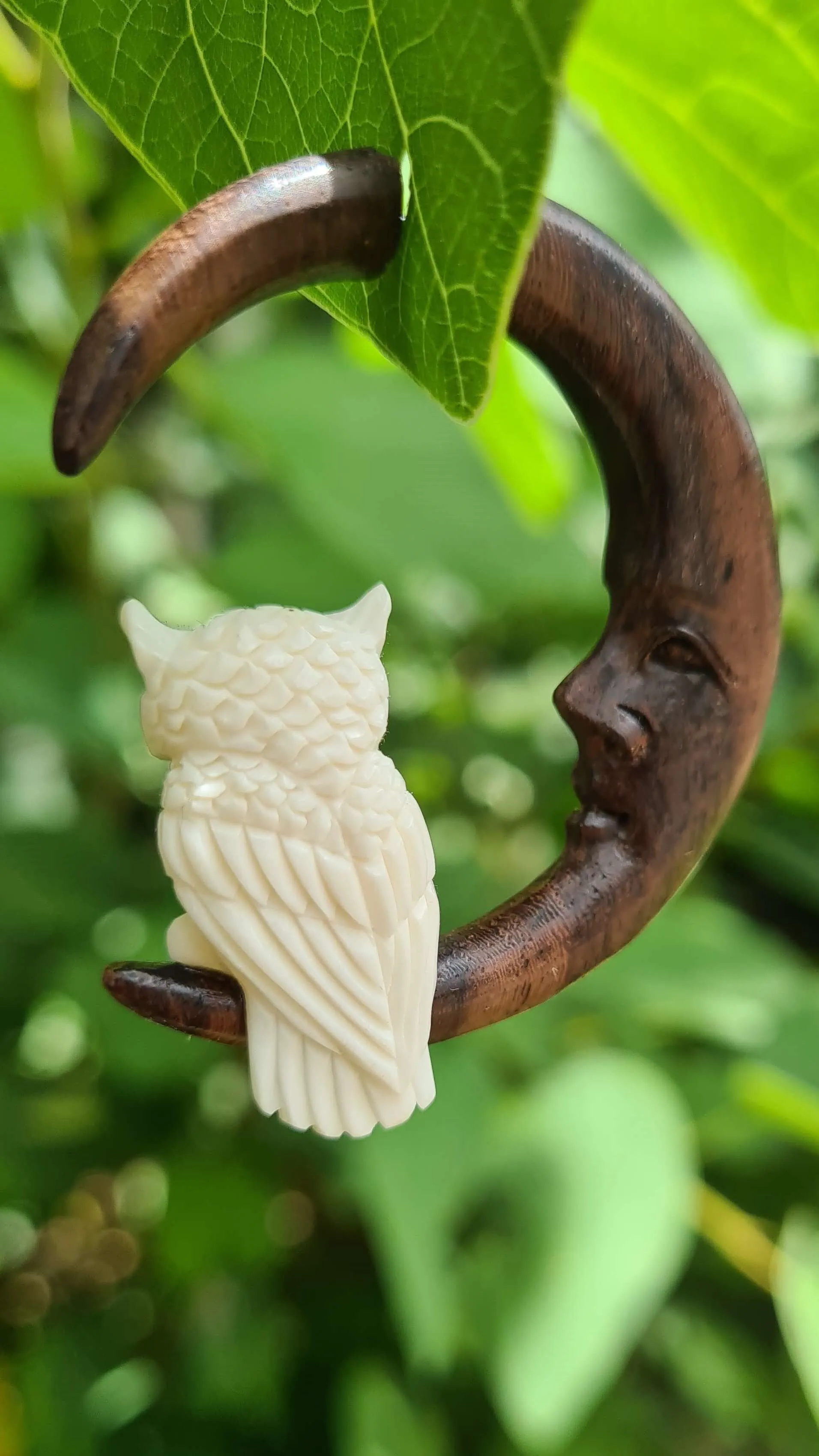 Owl on the Moon Earrings