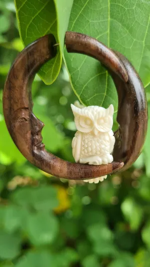 Owl on the Moon Earrings