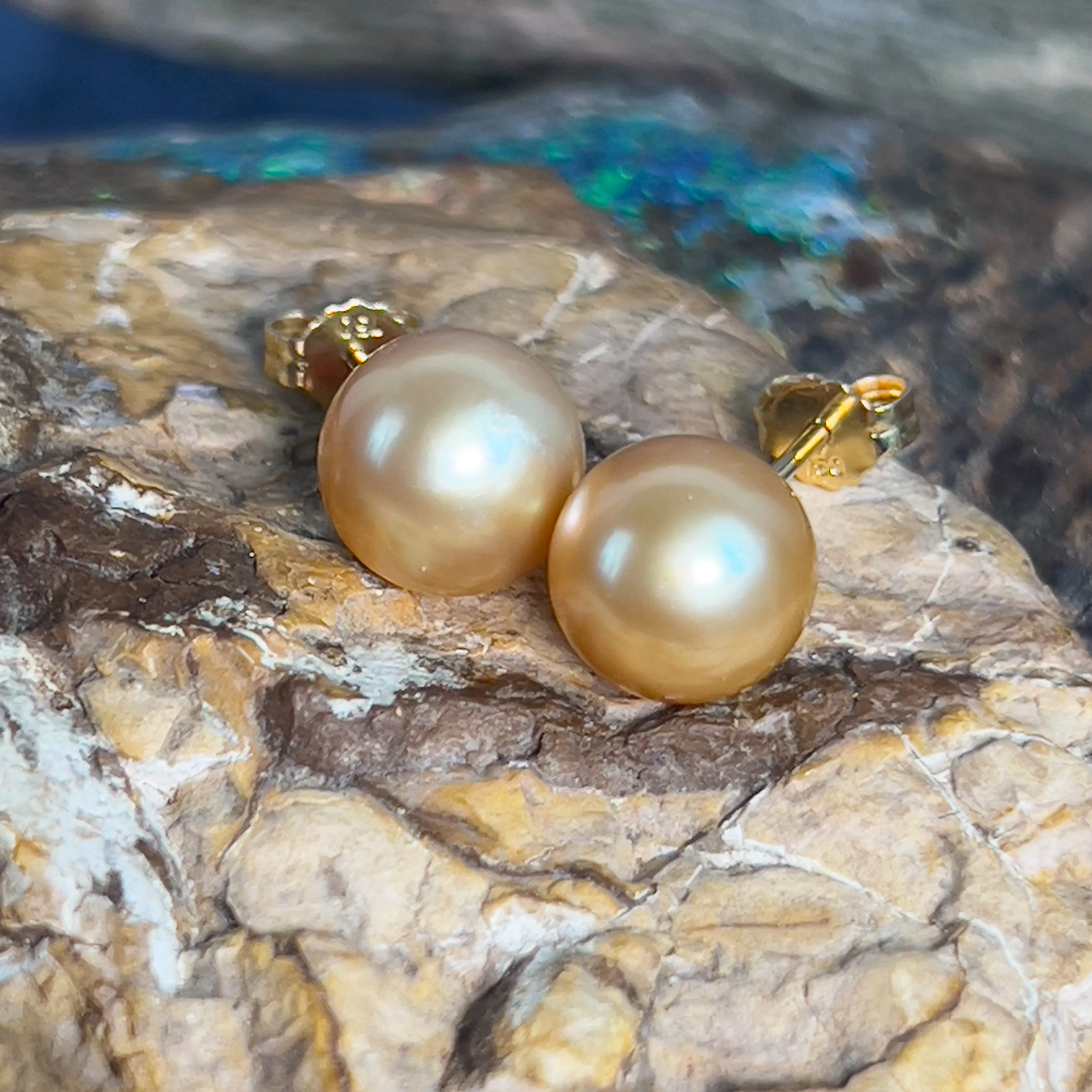 Pair of South Sea Golden pearl 9-10mm studs with 18kt Yellow Gold studs