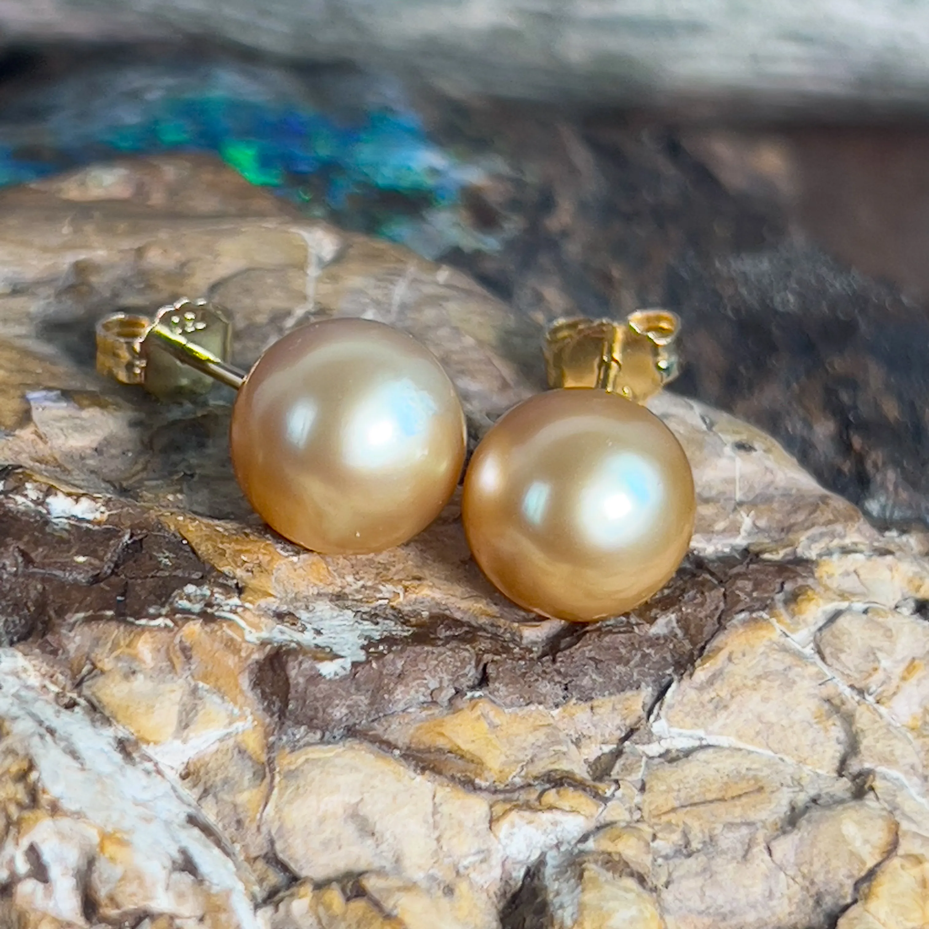 Pair of South Sea Golden pearl 9-10mm studs with 18kt Yellow Gold studs