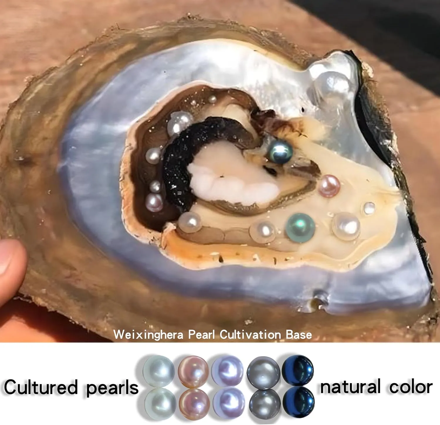 Pearl Earrings for women | Hypoallergenic Sterling silver studs Earrings with Genuine AAAAA Cultured Pearls8mm-10mm,Pearl studs Earrings