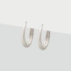 Shiny Silver Hoop Earrings