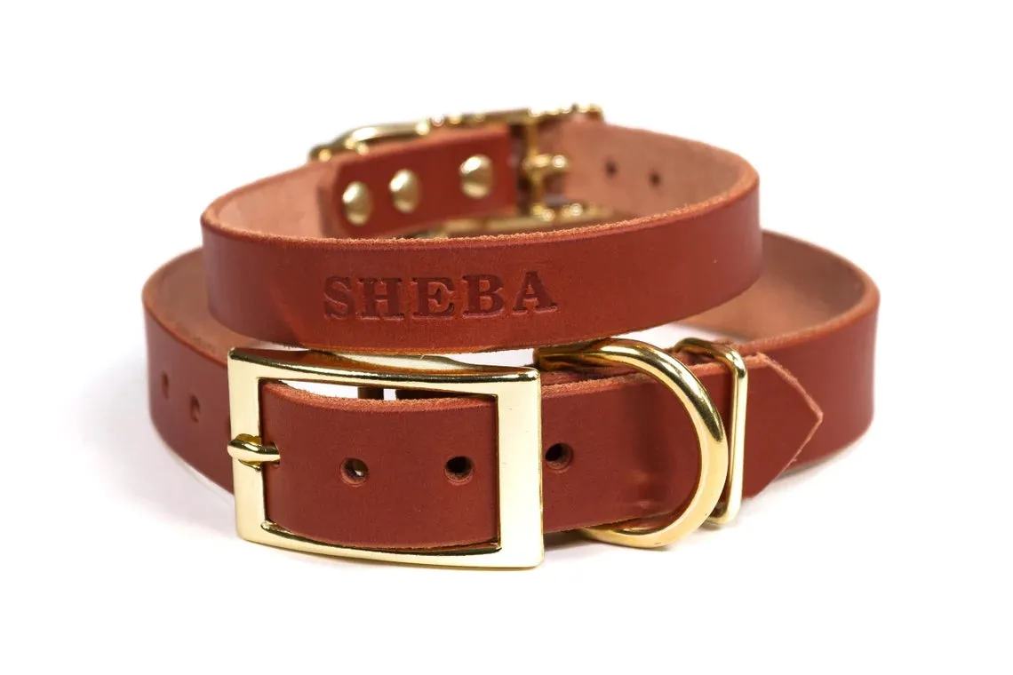 Signature Leather Dog Collar - Brass / Gold Tone Hardware