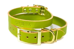 Signature Leather Dog Collar - Brass / Gold Tone Hardware