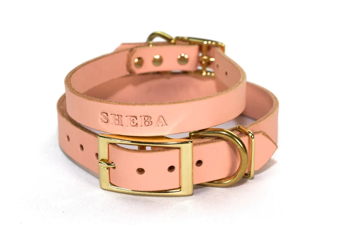 Signature Leather Dog Collar - Brass / Gold Tone Hardware