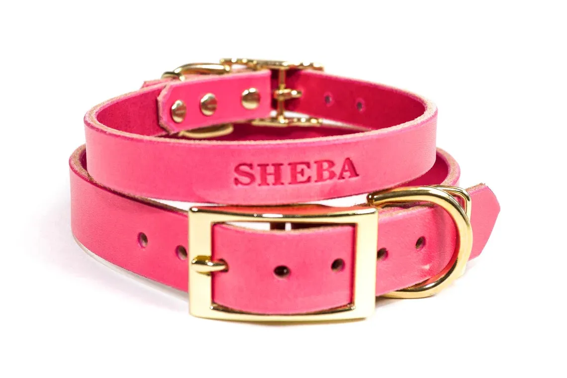 Signature Leather Dog Collar - Brass / Gold Tone Hardware