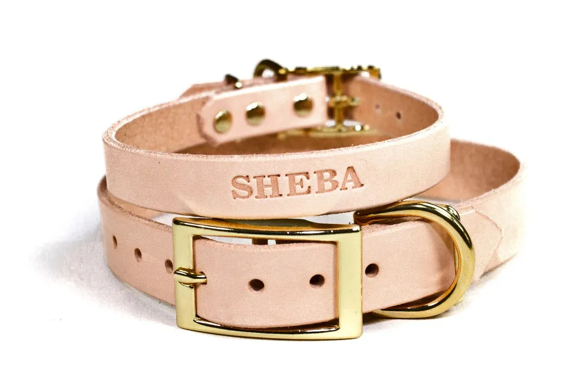 Signature Leather Dog Collar - Brass / Gold Tone Hardware