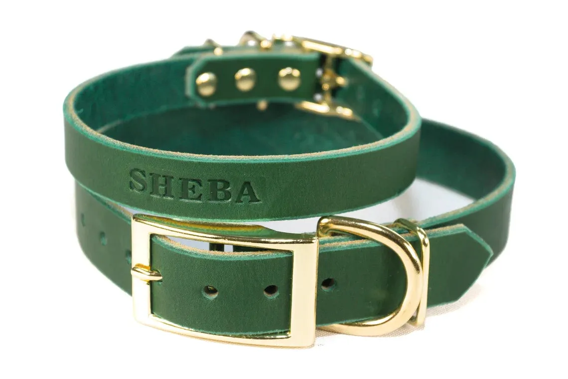 Signature Leather Dog Collar - Brass / Gold Tone Hardware