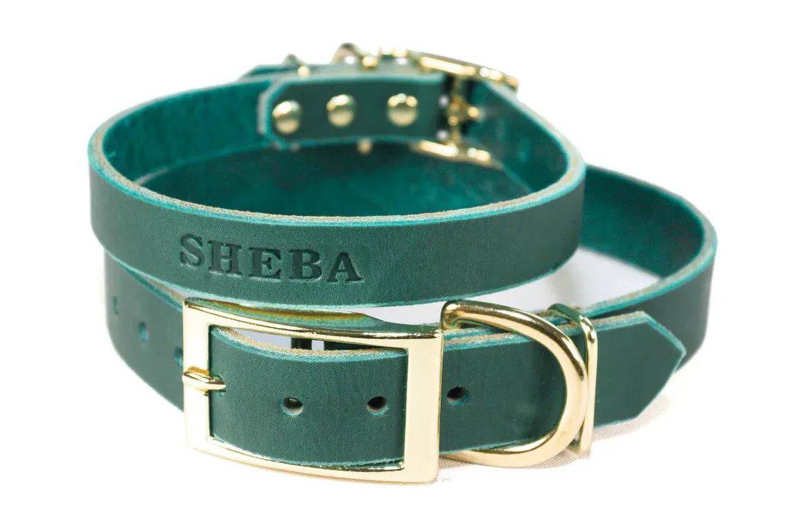 Signature Leather Dog Collar - Brass / Gold Tone Hardware