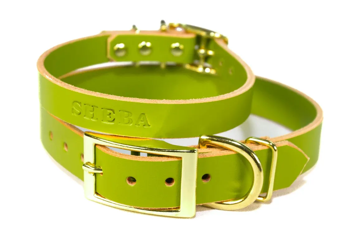 Signature Leather Dog Collar - Brass / Gold Tone Hardware