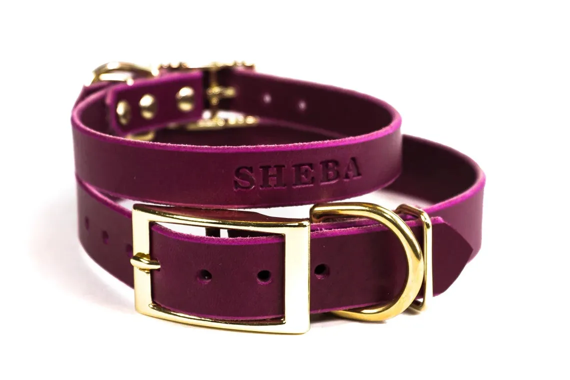 Signature Leather Dog Collar - Brass / Gold Tone Hardware