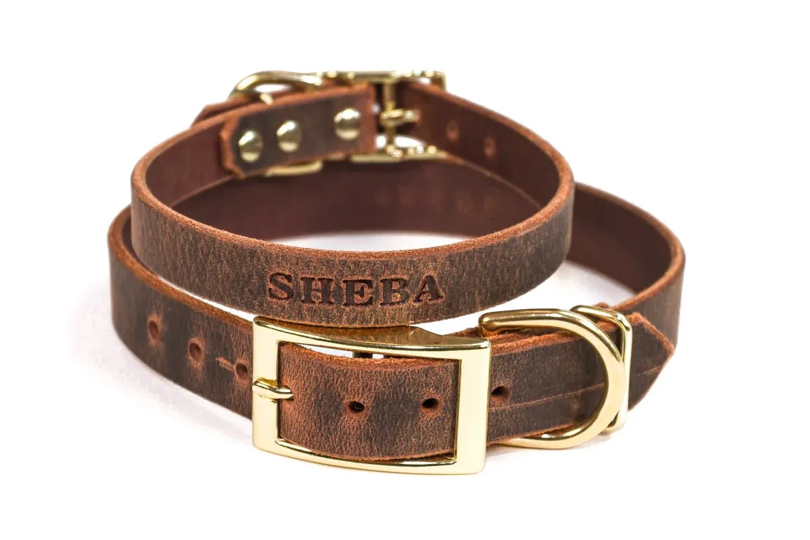 Signature Leather Dog Collar - Brass / Gold Tone Hardware