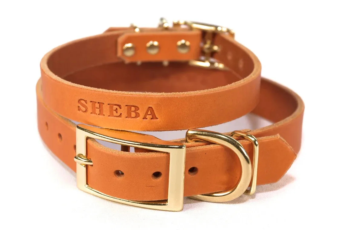 Signature Leather Dog Collar - Brass / Gold Tone Hardware