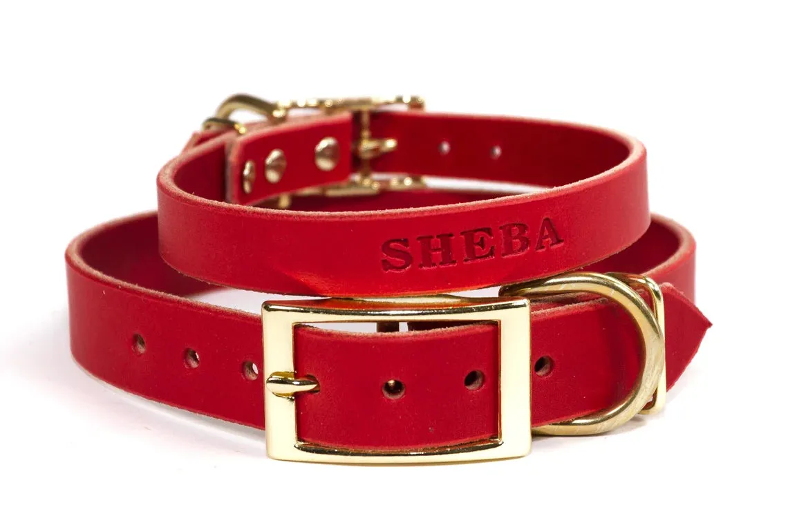 Signature Leather Dog Collar - Brass / Gold Tone Hardware