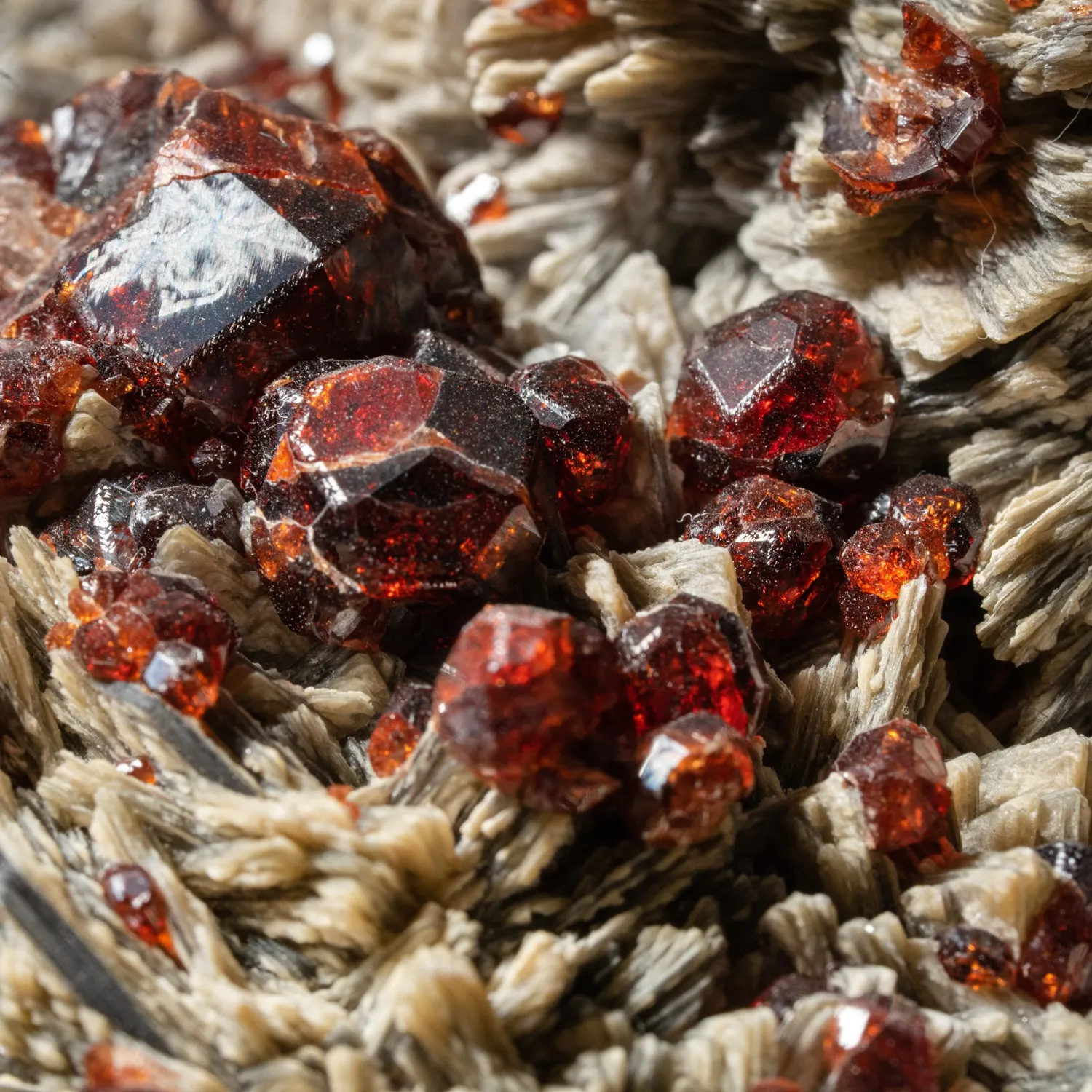 Spessartine Garnet with Muscovite on Albite Matrix From Tongbei-Yunling District, Fujian Province, China