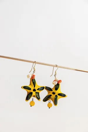 Star earrings