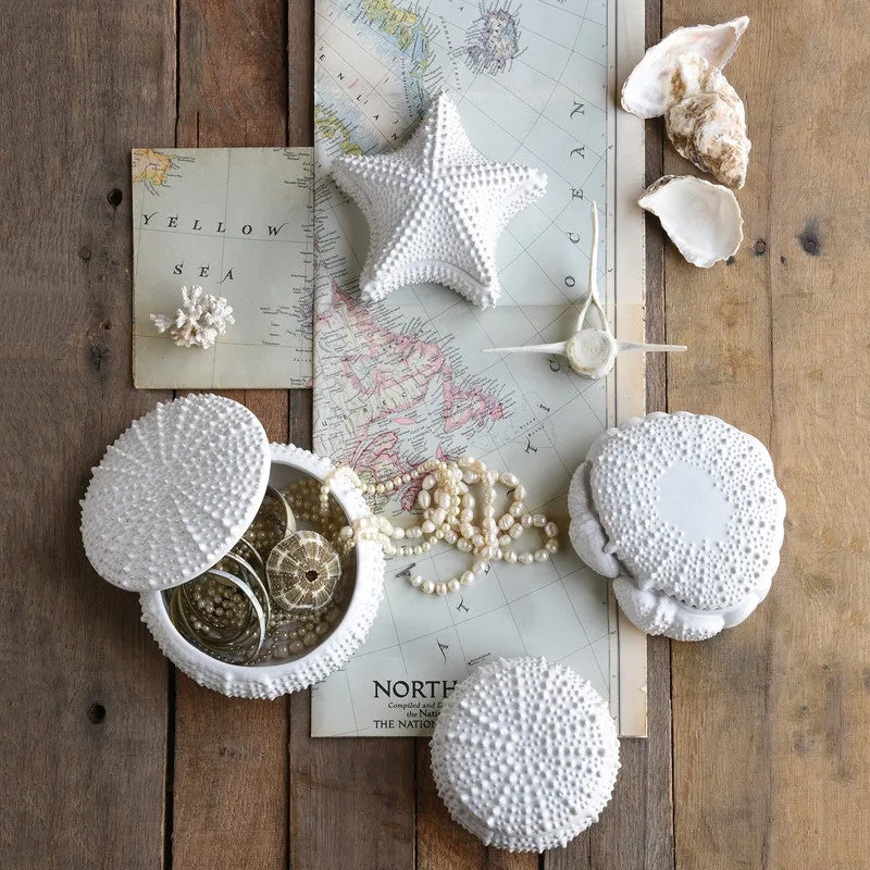 Urchin Ceramic Box White-Sm